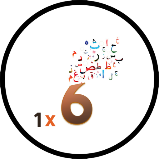 6x1